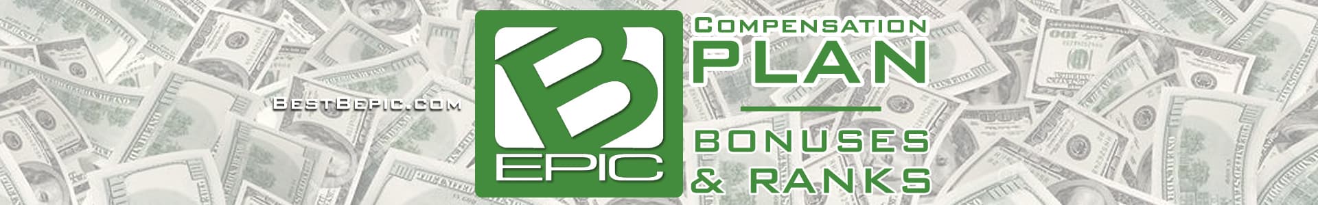 bepic compensation plan