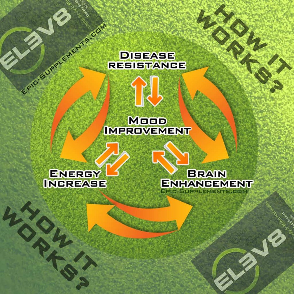 BEpic Elev8 - how it work