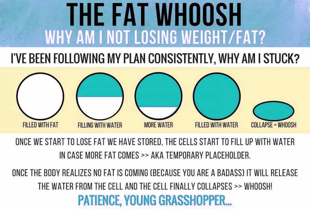 Diagram - Why Am I Nor Losing Weight/Fat