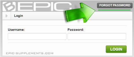 bepic site - what to do if forgot password