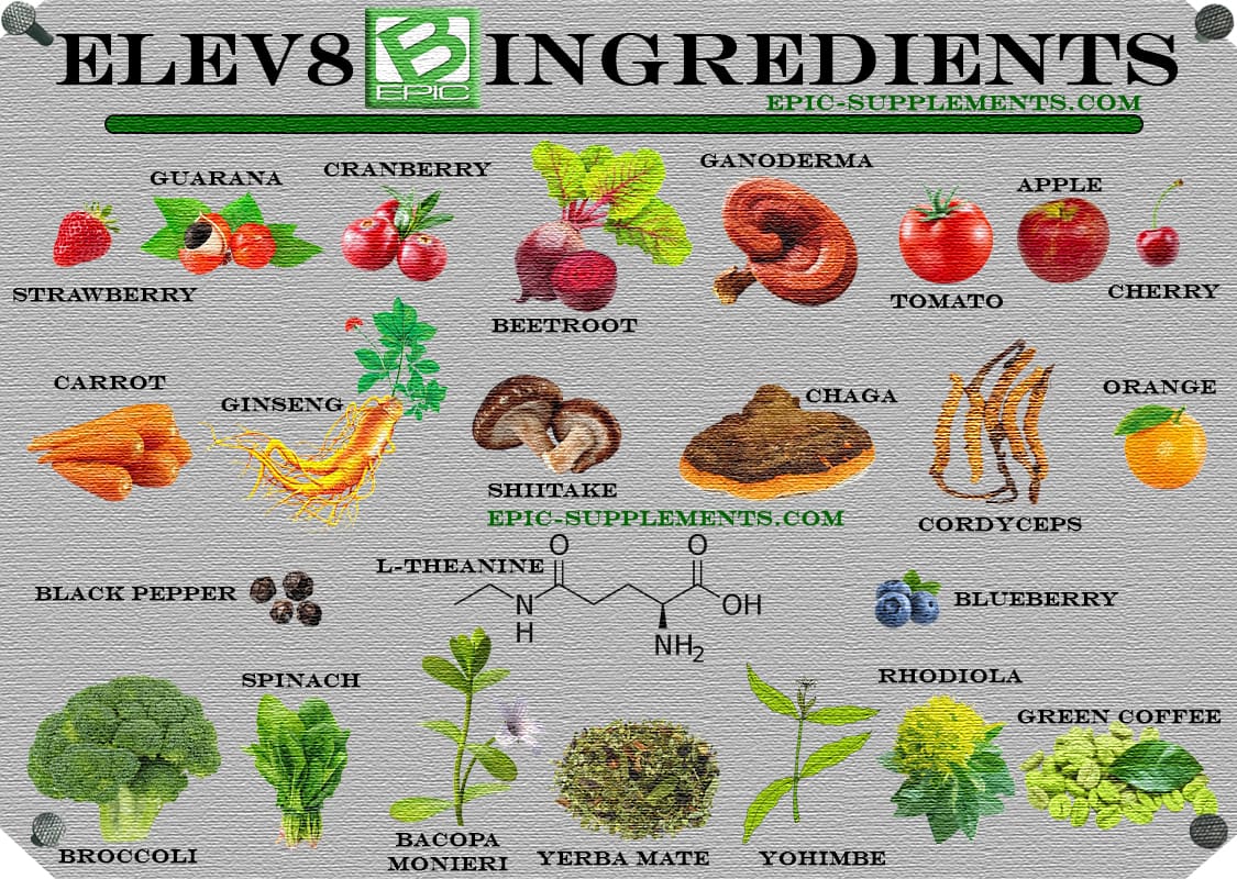 BEpic;s Elev8 pills ingredients png