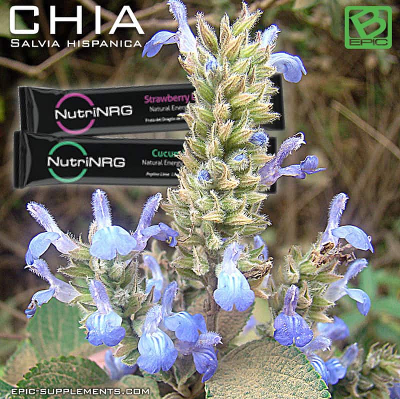 chia seeds is a key ingredient of Bepic nutriNRG  