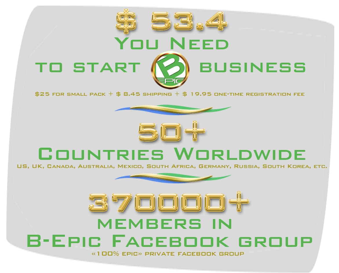 BEpic company statistics (see infographics)