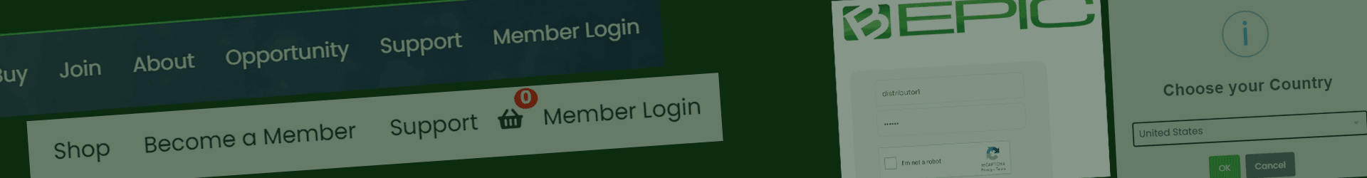 bepic backoffice - how to login